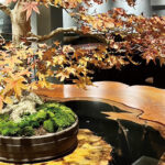 美食案内　福岡・天神・中洲　立呑　邑久十-001